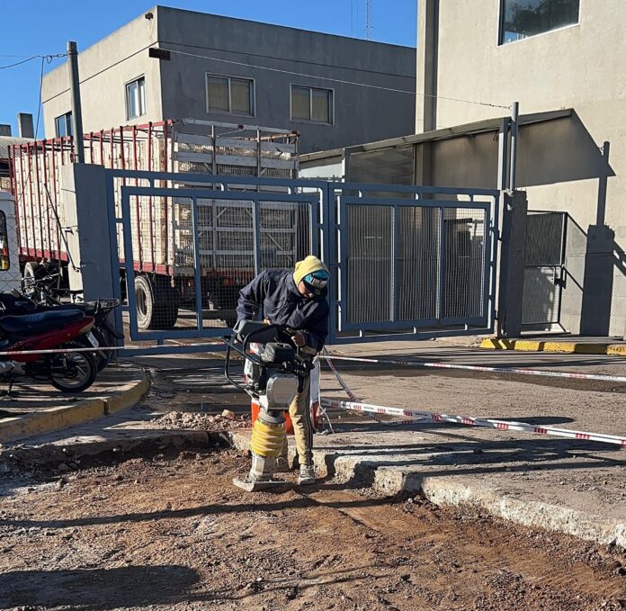 bacheo