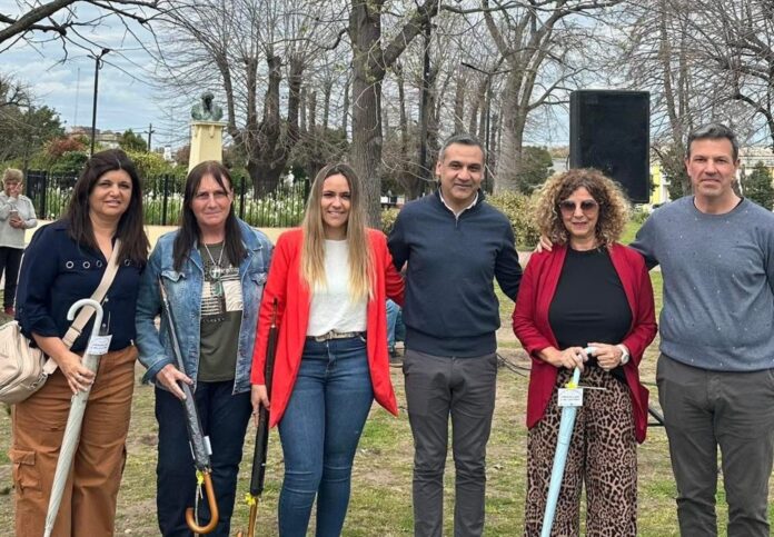 sciaini maestros