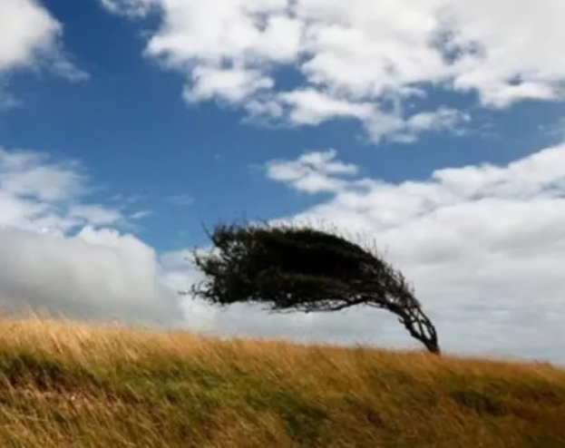 viento