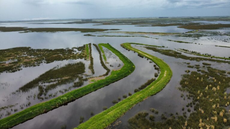 Inundaciones: casi 6 millones de hectáreas afectadas, con pérdidas por US$ 2.000 millones, según Carbap