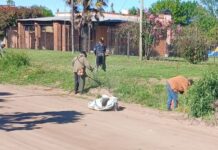 Siguen las tareas de corte de césped