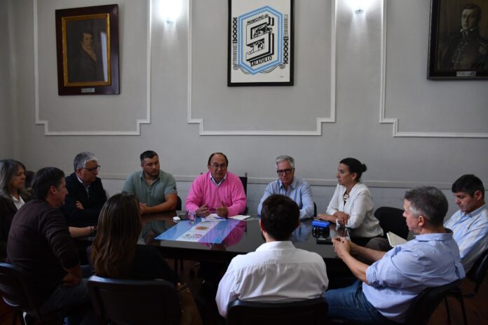 salomon presupuesto