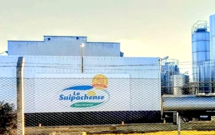 suipachense