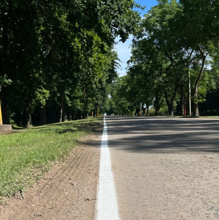 acceso lineas