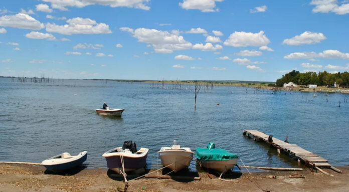Chasico