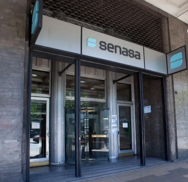 Senasa 1