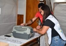 Inscriben para jornada de castración masiva en Alvarez de Toledo