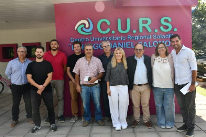 diputados curs