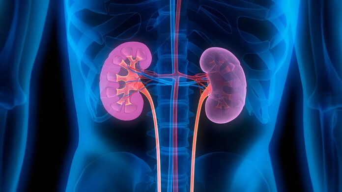 renal