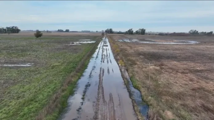 camino-rural