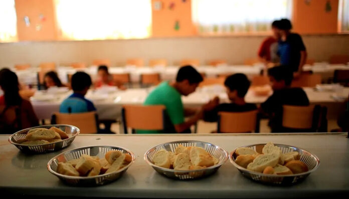 servicio alimentario