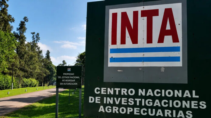 inta 1
