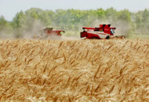 El PBI creció 2,3% en el primer trimestre, con subas del agro, minería y finanzas