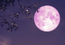 Luna de fresa: qué la distingue y a qué hora podrá apreciarse en Argentina