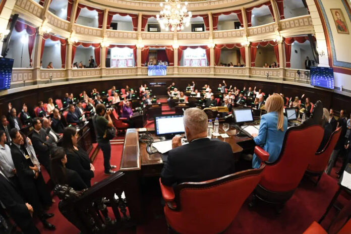 Senado 6