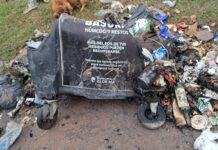 Vandalismo: el Municipio denunció incendio de contenedores de residuos
