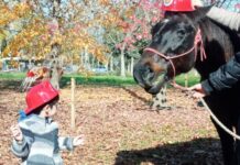 CEMIASA celebró el Día de los Bomberos con actividades terapéuticas