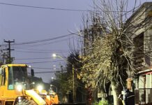 Sigue la recolección de grandes volúmenes en distintos sectores de la ciudad