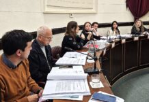 Ediles convalidaron la desafectación de terrenos del programa Procrear