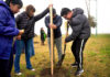 Plantaron árboles en el nuevo Paseo de la Salud y en el Parque Ambiental