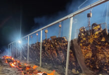 Asado gratis y fiesta con Amar Azul en el 157 aniversario de Alvear
