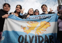 “Al mejor postor”: Kicillof contra la venta de tierras a extranjeros
