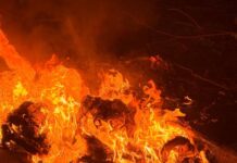 Incendiaron otro contenedor de residuos