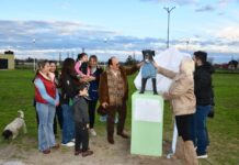 Homenajearon al perro callejero con una obra que recuerda al “Negrito de Saavedra”