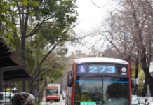 Rige la ley que obliga a usar pictogramas en el transporte público bonaerense