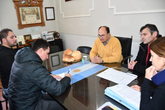 salomon firma