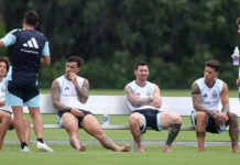 Analizan un asueto para recibir a la Selección y el operativo podría incluir a la Provincia