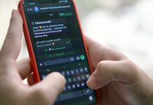 La Provincia tiene asistente virtual para consultar infracciones de tránsito en segundos