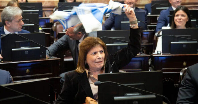 Bullrich Senado