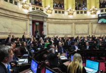 Senado debate el Súper RIGI para atraer inversiones en tecnología y minerales críticos