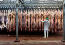 Las exportaciones de carne bovina crecieron 10% en el primer semestre