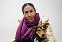 En julio Bromatología realizó 188 castraciones y aplicó 235 vacunas