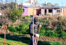 Forestan en Saladillo Norte