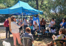 Anuncian nueva edición de “Huerta en Casa”