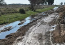 Caminos rurales: el 79% de los productores bonaerenses dicen que están en malas condiciones