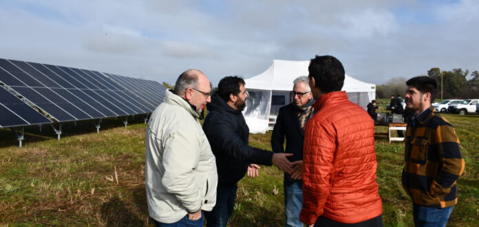 mas energia