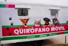 PASA León volvió a reclamar por falta de utilización del quirófano móvil