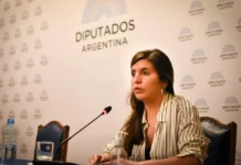 Provincia rechazó la nueva versión de la ley sobre venta de tierras a extranjeros: “es una trampa”