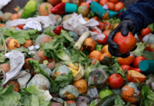Pérdida y desperdicio de alimentos: alertan por causas y brindan pautas para frenar el descarte