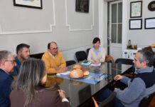 Salomón analizó informe económico que destaca el rol del agro, la producción porcina y el girasol