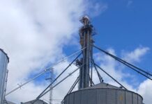 Tragedia: falleció un operario tras un accidente en una planta de silos