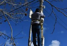 Realizan mantenimiento de las 300 cámaras del Centro de Monitoreo