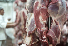 Argentina anunció la apertura total del mercado de Japón para la carne bovina