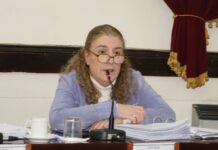 Libertarios impusieron nuevo pedido de informes por la compra de camionetas
