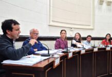 “Consolidamos una mayoría para encauzar la solución del frigorífico municipal”