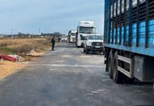 Ruta 51: habilitaron una calzada a la altura del arroyo Saladillo